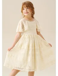 Annabelle Vintage Lace Mesh Dress