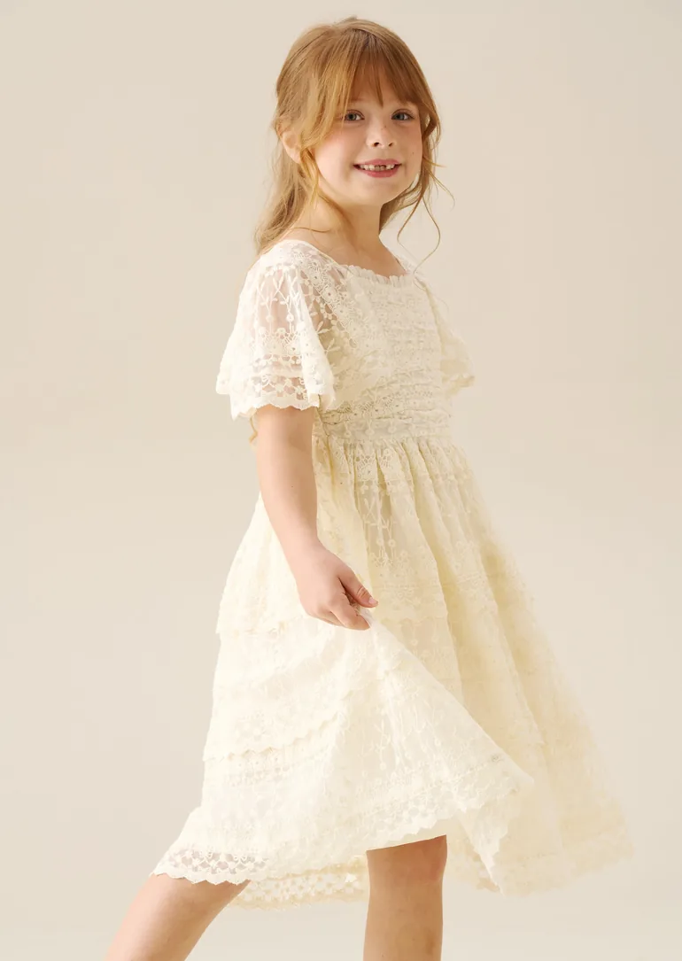 Annabelle Vintage Lace Mesh Dress - 1