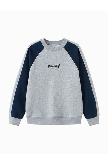 Boys' Sweatshirt With Prints