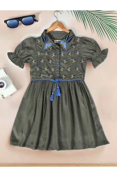 Embroidered Puff Sleeve Knee-Length Dress