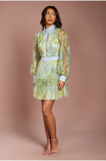 Collared Printed Mesh Mini Dress