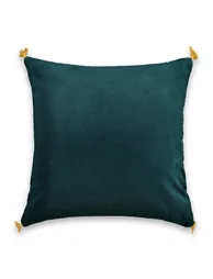 غطاء وسادة مخمل - 1