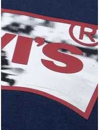 Levi's Boys Skate Batwing T-Shirt in Blue - 2