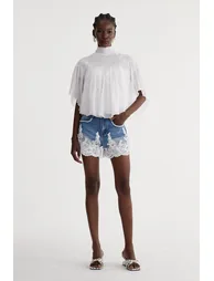 Iscah Embroidered Denim Shorts