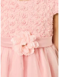 Girls Pink Embellished Embroidered Mesh Dress - 2