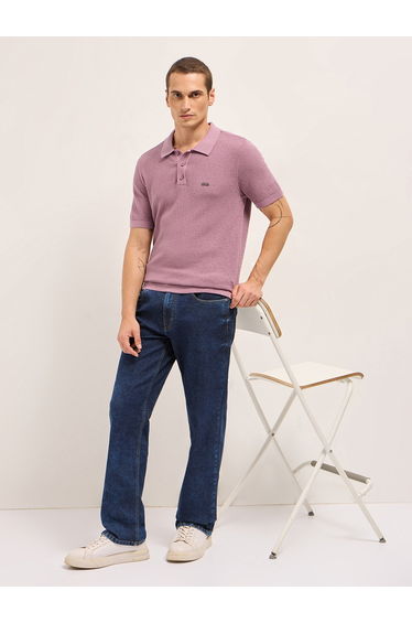 Men Solid Textured Flat Knit Regular Fit Polo