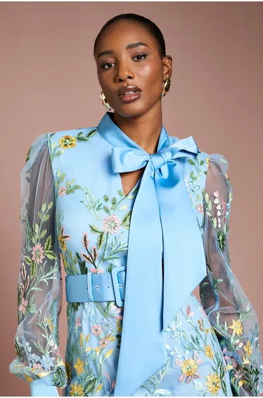 Embroidered Mesh Pussybow Midi Dress