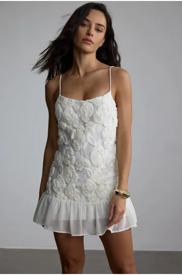 Beverly Floral Applique Pleated Chiffon Mini Dress