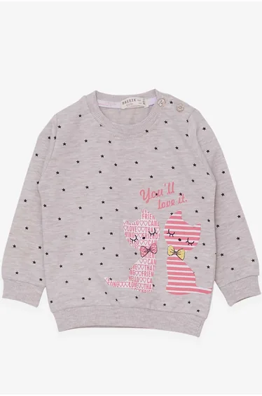 Baby Girl Sweatshirt Happy Kittens Beige Melange