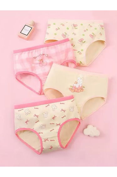 Pack of 4 - Printed Cotton Briefs