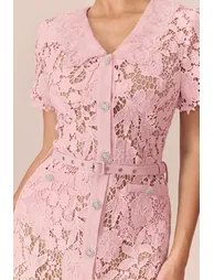 Soft Beauty Pink Floral Lace Short Sleeve Midi Dress - 4
