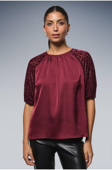 Devore Velvet Puff Sleeve Top
