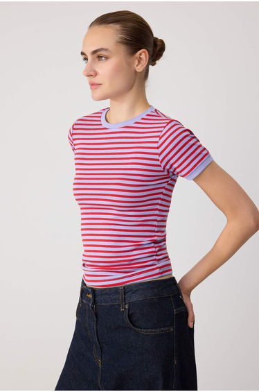Lilac Striped Viscose/Soft Fabric Bodycon Knitted Blouse