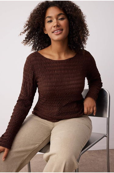 Brown Fitted/Body-Smoothing Textured Tulle Flexible Knit Plus Size Blouse