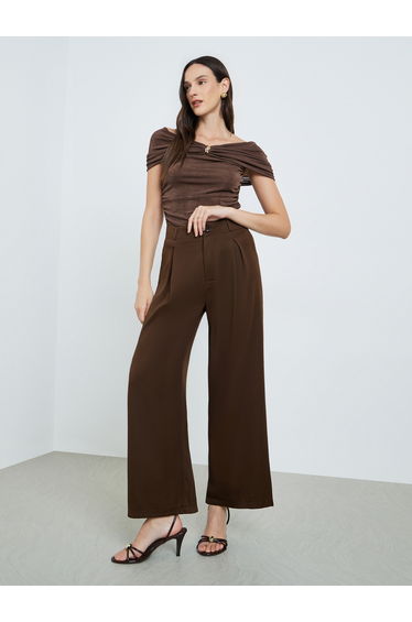 Brown Pleated Wide Leg Pants