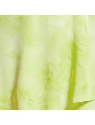 Women's Mini Dress with Angel Sleeves in Pistachio - 6