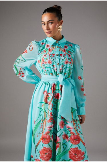Boarder Print Organza Shirt Dress
