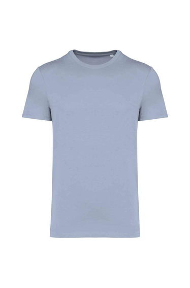 Native Spirit Unisex Adult Heavyweight Slim T-Shirt - Aquamarine