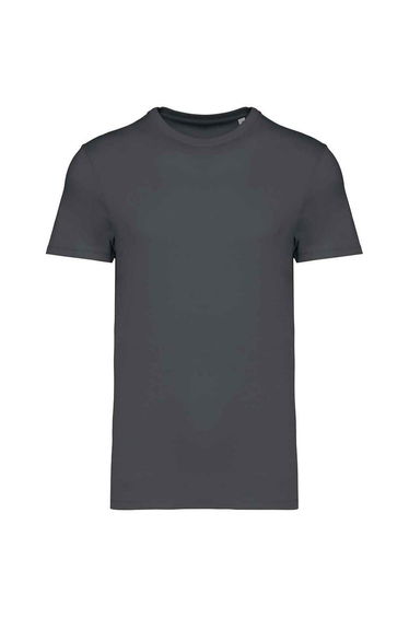 Native Spirit Unisex Adult Heavyweight Slim T-Shirt - Iron Grey