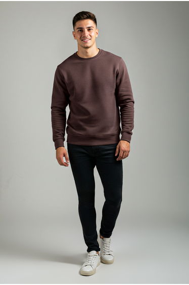 Brown Regular/Normal Cut Fleece Inside/Warm Sweatshirt