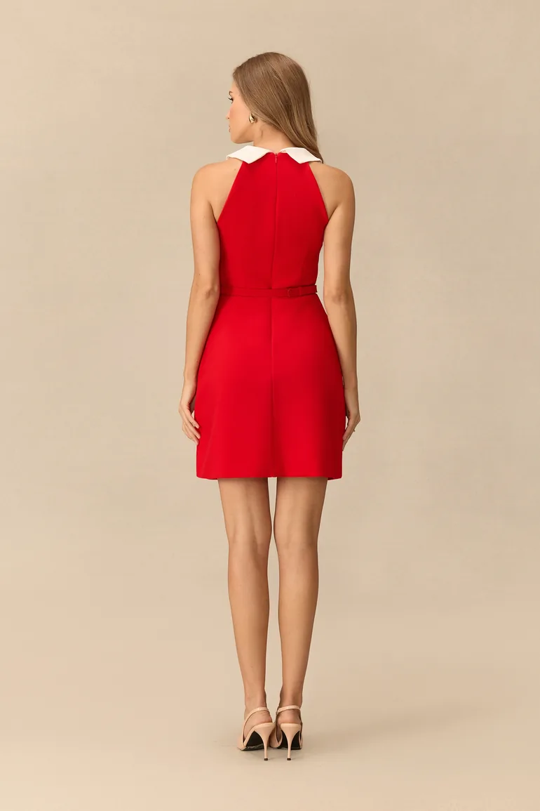Forever Radiant Contrast Collar Belted Mini Dress - 2