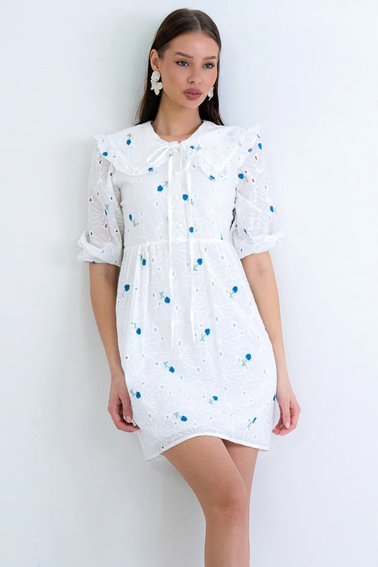 Women's Blue Baby Collar Scallop and Embroidered Lined Mini Dress - 1