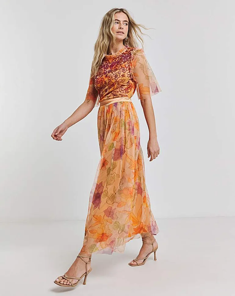 Joanna Hope Mesh Beaded Maxi Dress Joanna Hope Multicolour : Premium Dresses  : VogaCloset Jordan