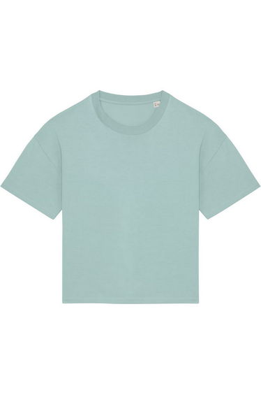 Native Spirit Womens/Ladies Oversized T-Shirt