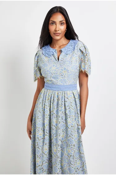 Petite Lace Collared Button Midi Dress