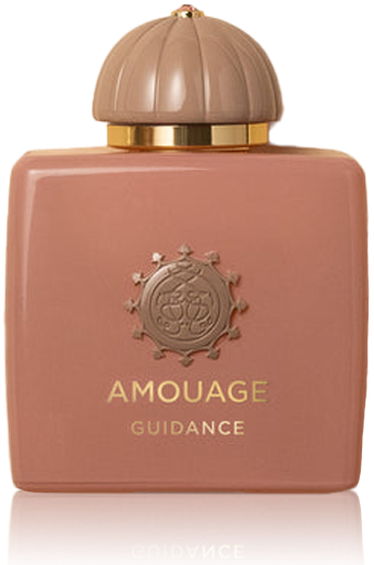 Amouage Guidance EDP - 100 ml