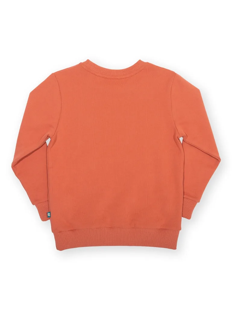 Dino Discovery Sweatshirt - 2