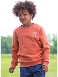 Dino Discovery Sweatshirt