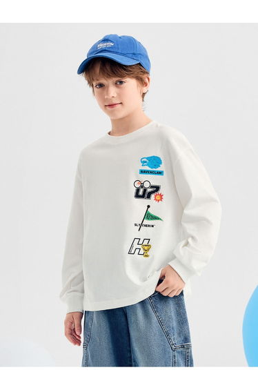 Boys' Sweatshirt With Front And Sleeve Print