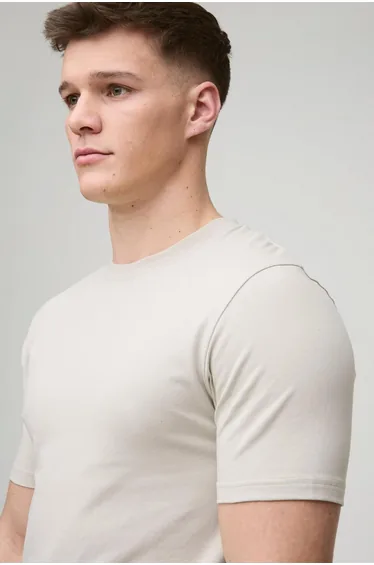 Tall Basic Muscle Fit T-shirt - stone