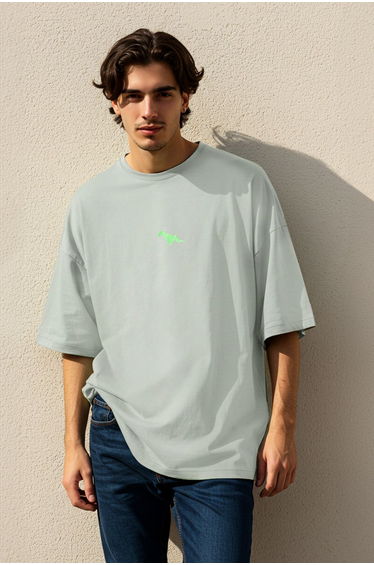 Grey Oversize/Wide Cut Short Sleeve Dinosaur Embroidered 100% T-Shirt