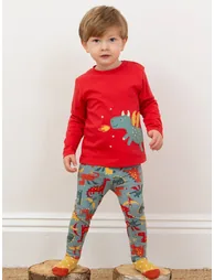 Little dragon t-shirt