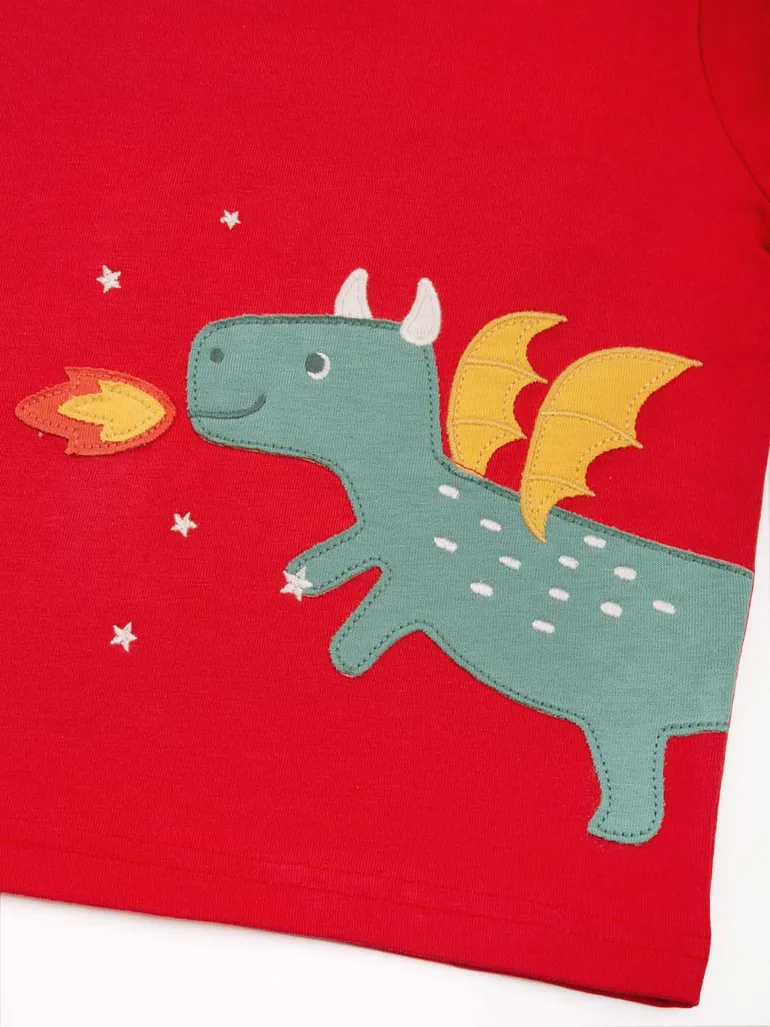Little dragon t-shirt - 4