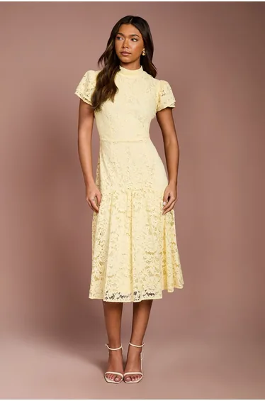 Lace Frill Sleeve High Neck Midi