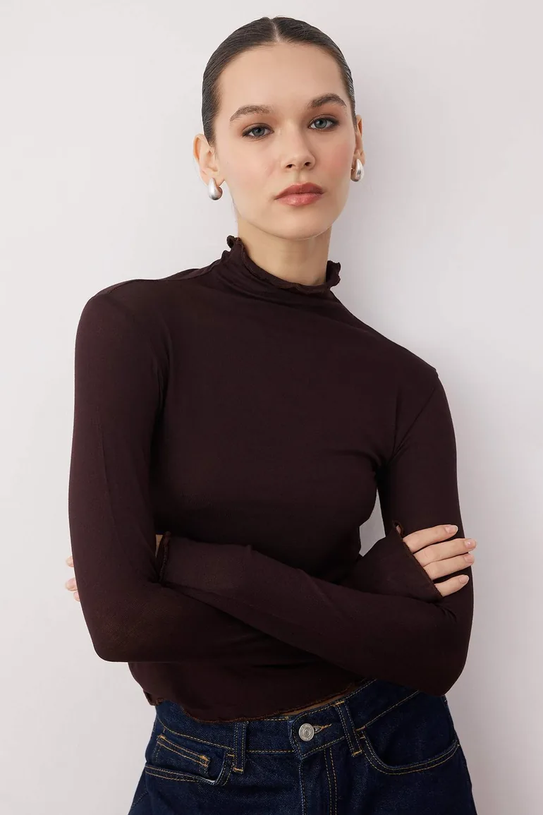 Brown Transparent High Neck Flexible Regular Length Knitted Blouse