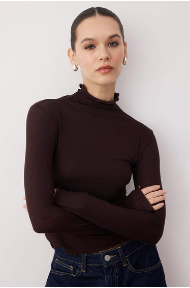 Brown Transparent High Neck Flexible Regular Length Knitted Blouse