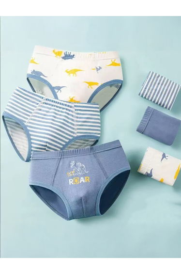 Pack of 3 - Boys Printed Cotton Briefs