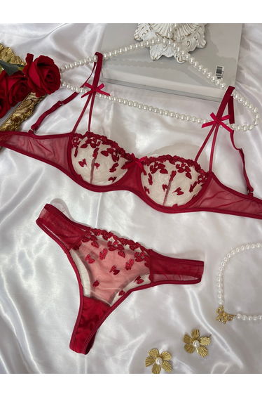 Burgundy Mesh Non Padded Wired Bra and Brief Set