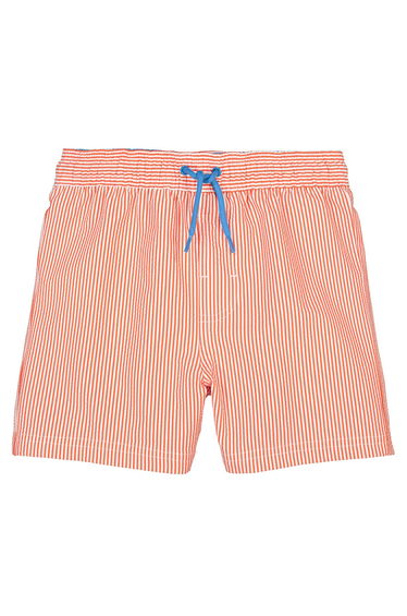 Striped Swim Shorts