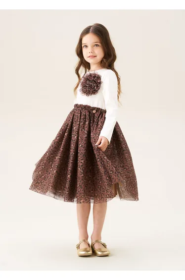 Carrie Corsage Mesh Dress