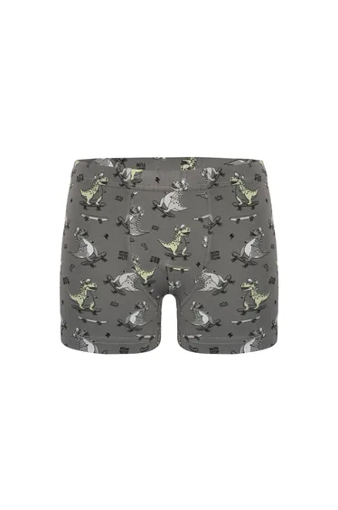 5-Pack Donella Boys' Boxer Briefs - Cotton