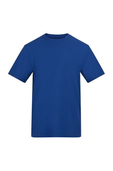 Awdis Unisex Adult Cotton T-Shirt - Royal Blue