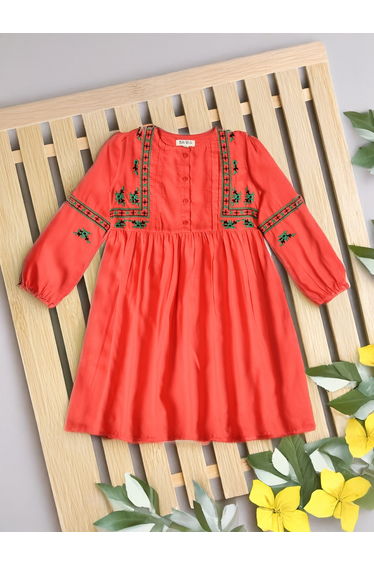 Embroidered Balloon Sleeves Knee-Length Dress