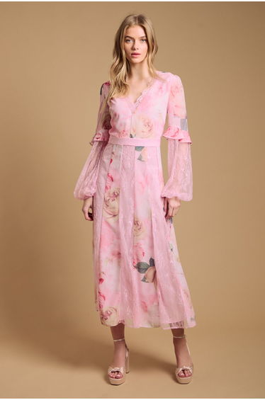 Lace Panel Dress