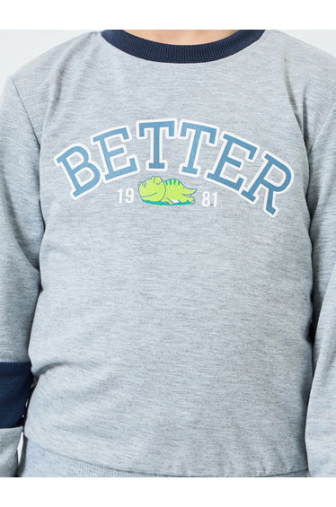 Boys Grey Graphic Print Sweatshirt