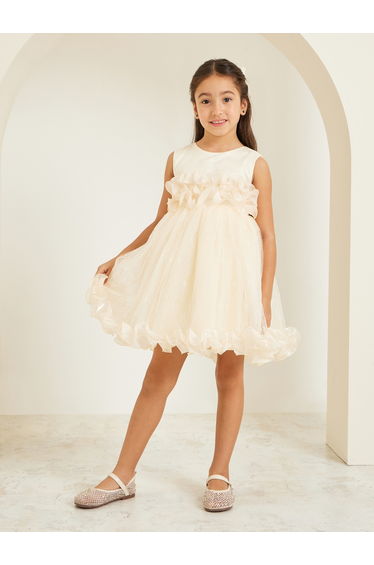 Girls Ruffled Mesh Party Dress